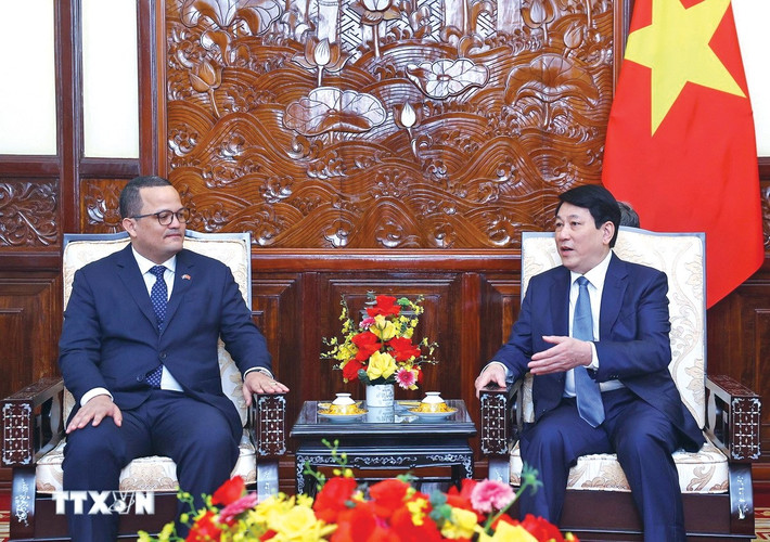 Chủ tịch nước Lương Cường tiếp Đại sứ Dominica tại Việt Nam Jaime Francisco Rodríguez. Ảnh: Lâm Khánh/TTXVN chu-tich-nuoc2.jpg