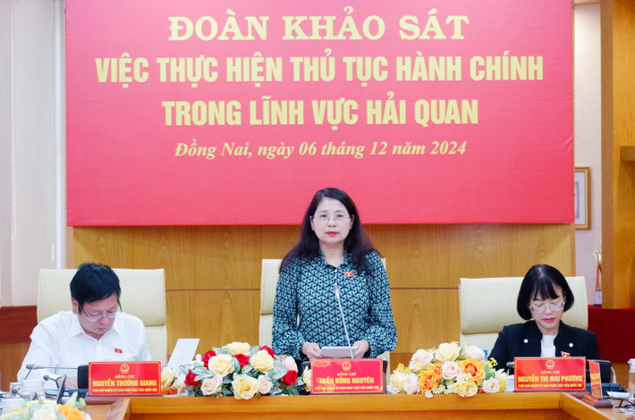 Phó Chủ nhiệm Ủy ban Pháp luật Trần Hồng Nguyên phát biểu c1-9862.jpg
