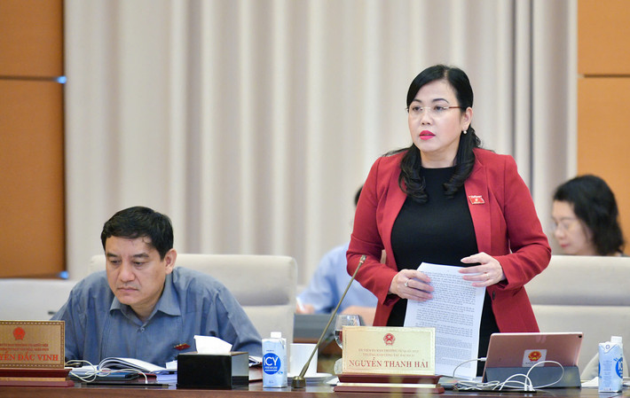 Trưởng Ban Công tác đại biểu Nguyễn Thanh Hải phát biểu. Ảnh: Hồ Long ub7.jpg