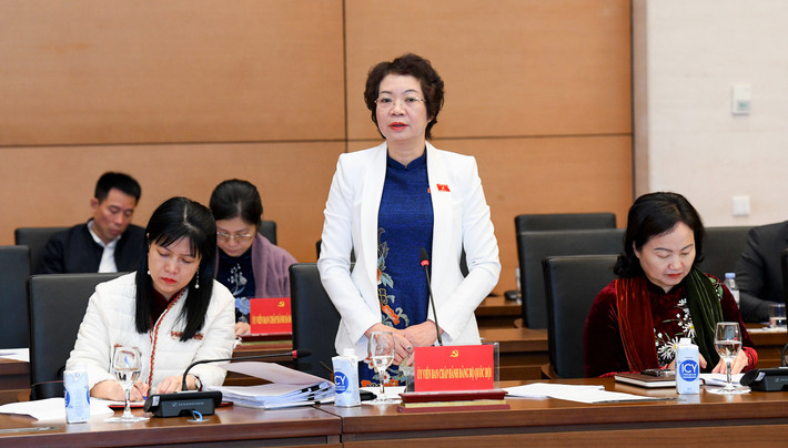 Phó Chủ nhiệm Ủy ban Tư pháp Mai Thị Phương Hoa phát biểu. Ảnh: Lâm Hiển mai-thi-phuong-hoa.jpg