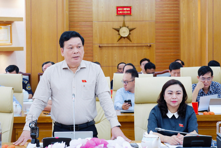 Đại biểu Quốc hội tỉnh Bình Phước Vũ Ngọc Long phát biểu c2.jpg