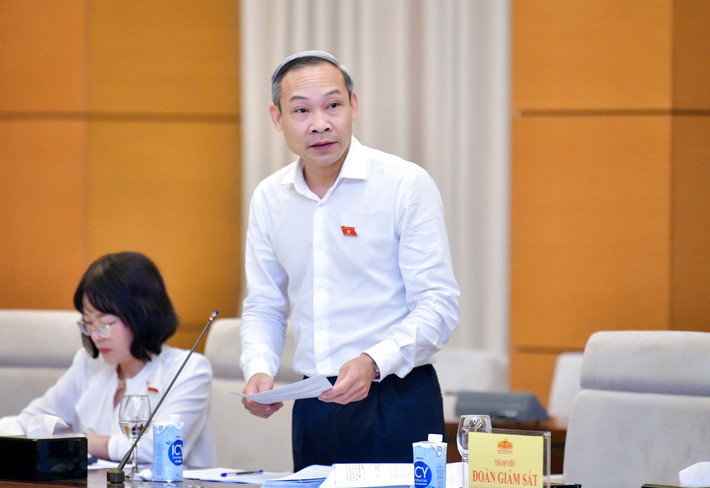 Ủy viên Thường trực Ủy ban Kinh tế Phan Đức Hiếu phát biểu. Ảnh: Hồ Long Ủy viên Thường trực Ủy ban Kinh tế Phan Đức Hiếu.jpg