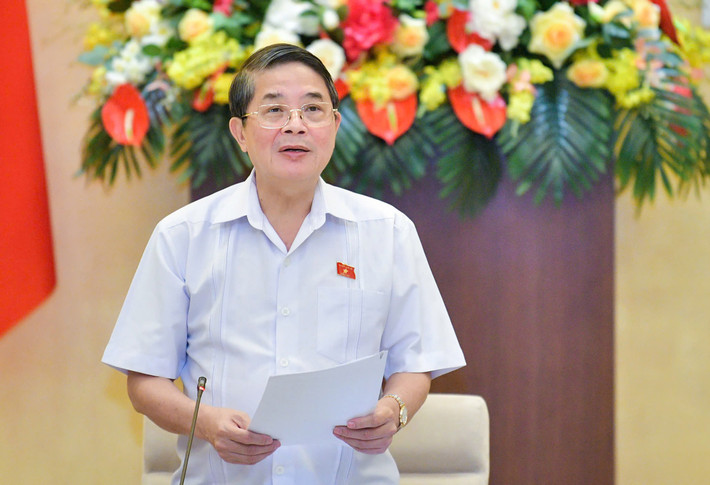 Phó Chủ tịch Quốc hội Nguyễn Đức Hải phát biểu chỉ đạo. Ảnh: Hồ Long d2.jpg