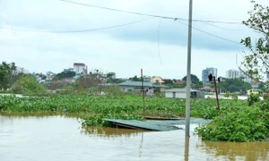 Lũ trên sông Hồng ở Hà Nội chạm mốc lịch sử cách đây 20 năm, dự báo sẽ tăng hơn