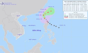 Dự báo cơn bão Usagi di chuyển hướng vào Biển Đông