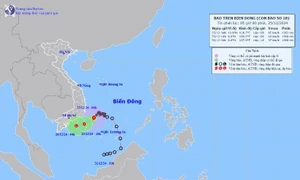 Dự báo thời tiết ngày 25.12: Bão số 10 suy yếu thành áp thấp nhiệt đới