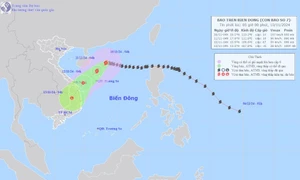 Bão số 7 (Yinxing) suy yếu thành áp thấp nhiệt đới trên vùng biển Quảng Trị - Quảng Ngãi