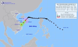 Dự báo bão số 7 (Yinxing) suy yếu thành vùng áp thấp trên đất liền ven biển Quảng Ngãi - Bình Định