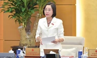 Phó Chủ tịch Quốc hội Nguyễn Thị Thanh điều hành phiên họp 