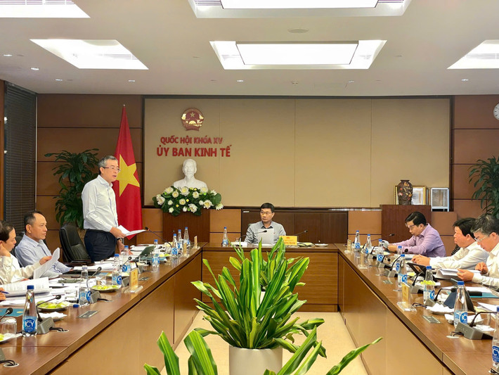 Thường trực Ủy ban Kinh tế thẩm tra sơ bộ về một số giải pháp đối với Tổng công ty Hàng không Việt Nam ảnh 3 Thường trực Ủy ban Kinh tế thẩm tra sơ bộ về một số giải pháp đối với Tổng công ty Hàng không Việt Nam ảnh 3
