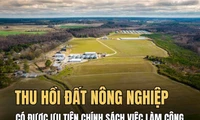 Bị thu hồi đất nông nghiệp có được ưu tiên tham gia chính sách việc làm công không?