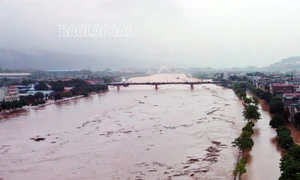 Tập trung ứng phó, khắc phục hậu quả mưa lũ, sạt lở đất, lũ ống, lũ quét tại các tỉnh miền núi, trung du Bắc Bộ 