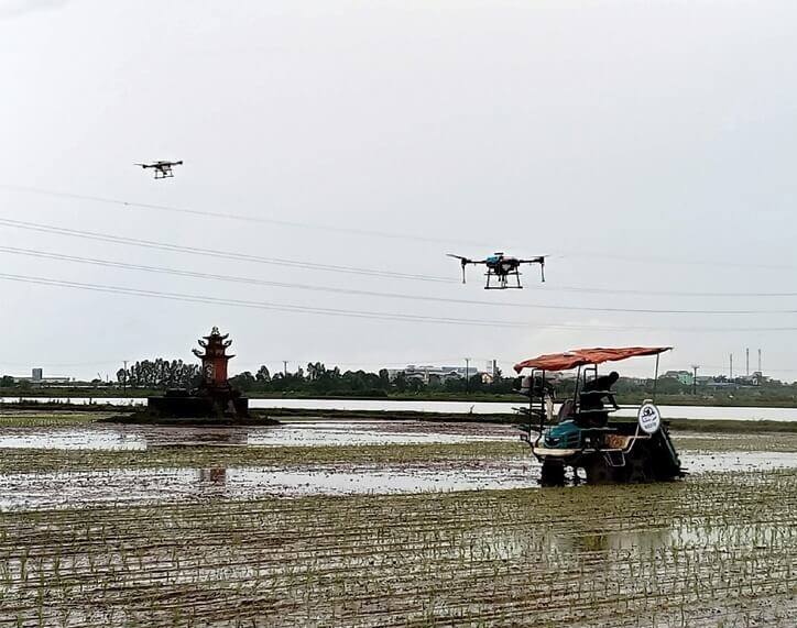 Những cánh đồng sử dụng công nghệ cao ở Hải Phòng. Ảnh: ITN cong-nghe-dai-thanh-hai-phong-3-23jpg.jpg
