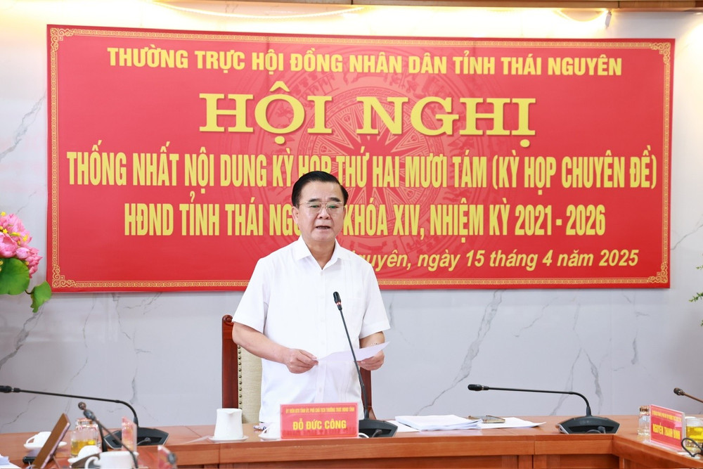 Phó Chủ tịch Thường trực HĐND tỉnh Đỗ Đức Công phát biểu tại hội nghị. Ảnh Phòng TT - DN download-2.jpg