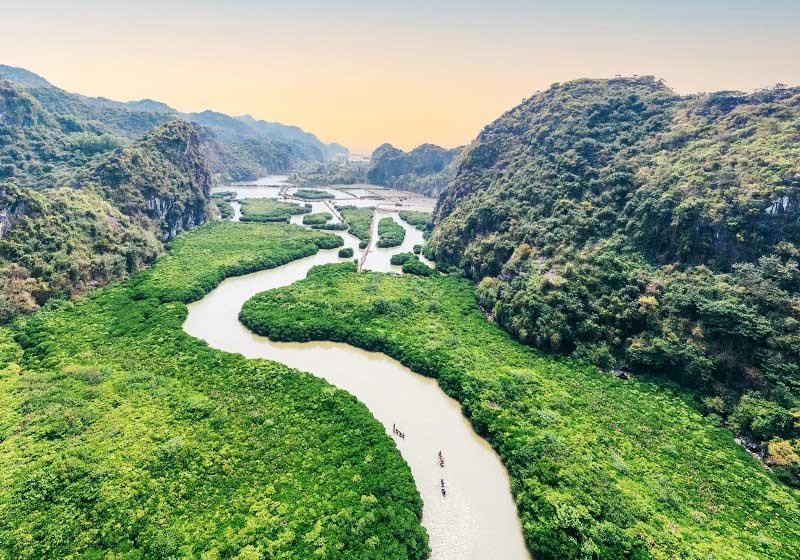Rừng ngập mặn ở Cát Bà, Hải Phòng. Ảnh: ITN rung-ngap-man-cat-ba-hai-phong.jpg