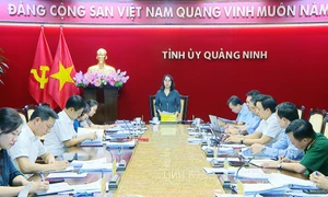 Quảng Ninh: HĐND tỉnh sẽ tổ chức ngay Kỳ họp chuyên đề để ban hành cơ chế, chính sách hỗ trợ thiệt hại do bão số 3