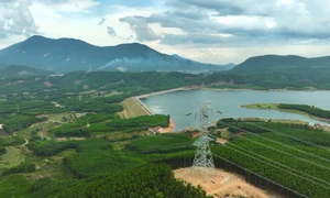 "Hoành Sơn vạn vạn bước chân": Tái hiện tinh thần lao động thời đại trên công trường 500kV mạch 3