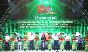 Hà Nội khai mạc Festival Sinh vật cảnh lần thứ nhất