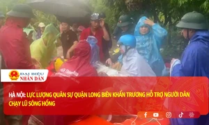 Hà Nội: Lực lượng quân sự quận Long Biên khẩn trương hỗ trợ người dân "chạy lũ" sông Hồng