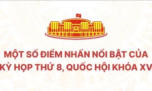 Những điểm nhấn nổi bật của Kỳ họp thứ Tám, Quốc hội Khóa XV