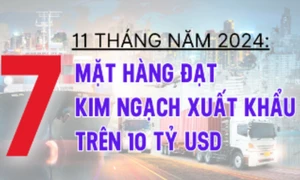 7 mặt hàng xuất khẩu Việt Nam vượt 10 tỷ USD trong 11 tháng năm 2024