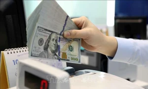 Tỷ giá USD và NDT ngày 17.10 cùng đi lên