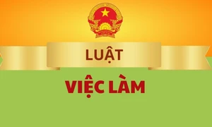 Luật Việc làm (sửa đổi): Cần chú ý thỏa đáng đến giải pháp phòng ngừa thất nghiệp