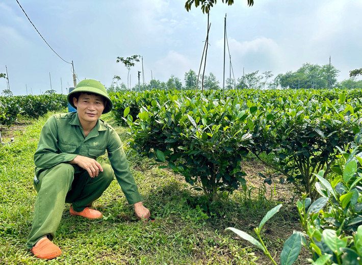 Đẩy mạnh ứng dụng công nghệ trong sản xuất chè an toàn tại Thái Nguyên