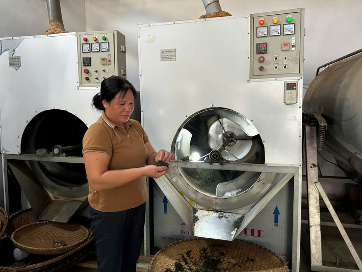 Chế biến chè tại HTX nông sản an toàn Liên Minh 3.jpg
