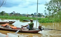 Cập nhật: Ngày 12.9, lũ trên sông Hồng tại Hà Nội đã xuống