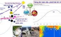 Việt Nam nỗ lực ứng phó với biến đổi khí hậu và bảo vệ tầng ozone