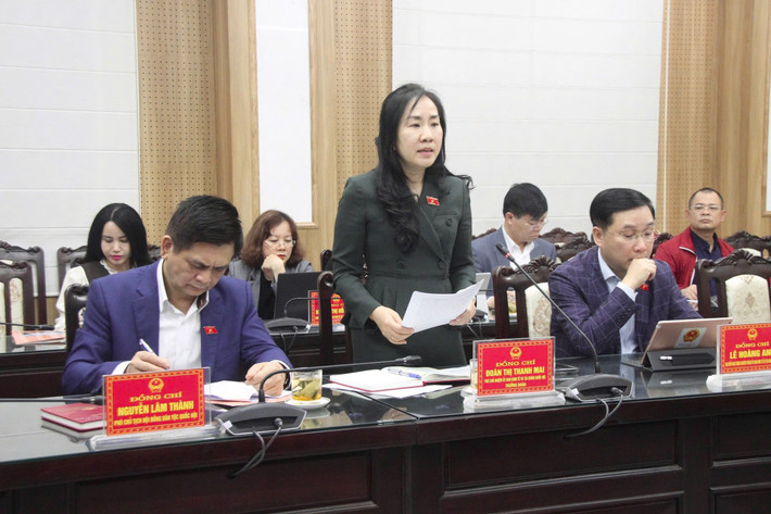 Phó Chủ nhiệm Ủy ban Kinh tế và Tài chính Đoàn Thị Thanh Mai - Trưởng Đoàn khảo sát phát biểu Phó Chủ nhiệm Ủy ban Kinh tế và Tài chính Đoàn Thị Thanh Mai - Trưởng Đoàn khảo sát phát biểu
