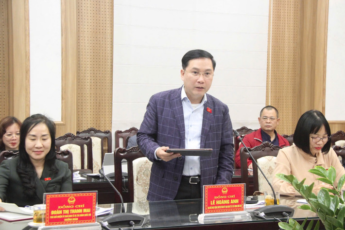 Ủy viên là ĐBQH hoạt động chuyên trách tại Ủy ban Kinh tế và Tài chính Lê Hoàng Anh phát biểu Ủy viên là ĐBQH hoạt động chuyên trách tại Ủy ban Kinh tế và Tài chính Lê Hoàng Anh phát biểu