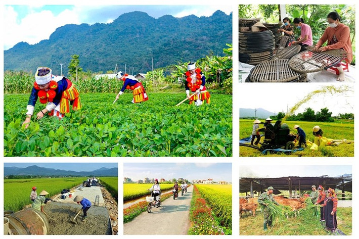 Thủ tướng ủy quyền 3 Bộ, cơ quan thông báo mục tiêu, nhiệm vụ năm 2025 của các chương trình mục tiêu quốc gia ảnh 1 Thủ tướng ủy quyền 3 Bộ, cơ quan thông báo mục tiêu, nhiệm vụ năm 2025 của các chương trình mục tiêu quốc gia ảnh 1
