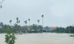 Nước lũ lên nhanh gây chia cắt nhiều khu dân cư, Quảng Ngãi khẩn trương ứng phó