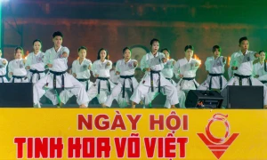 Tôn vinh, quảng bá tinh hoa võ Việt