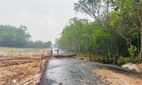 Bình Dương: Đường bất ngờ sạt lở sau cơn mưa, 2 người lọt xuống hố 