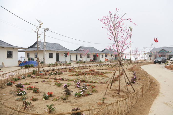 Quang cảnh khu tái định cư thôn Nậm Tông, xã Nậm Lúc, huyện Bắc Hà. Ảnh: An Nhiên 0r2a5317.jpg