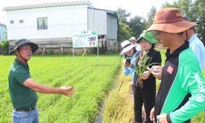 Giảm chi phí sản xuất, cải thiện lợi nhuận