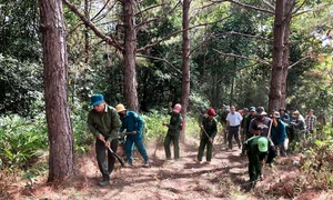 Bài 1: Vượt qua thách thức đấu tranh chống chặt phá rừng tự nhiên