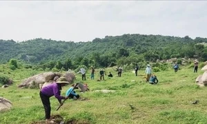 Hài hòa giữa bảo tồn rừng bền vững với phát triển du lịch