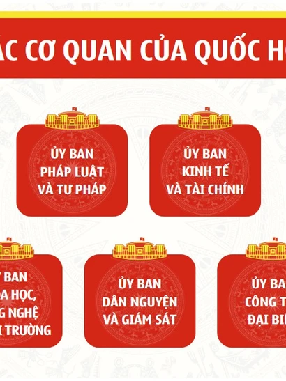 Cơ cấu tổ chức và nhân sự các cơ quan của Quốc hội Khóa XV