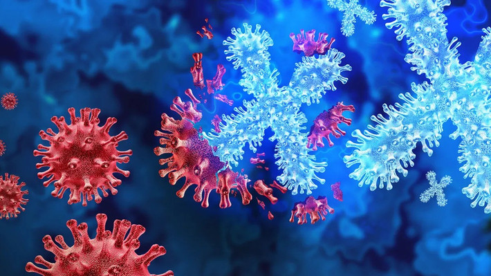 Congo giải mã bệnh lạ X là một dạng sốt rét nặng. Ảnh: Getty Images disease-xjpg.jpg