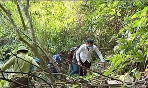 Nguy cơ mất hàng trăm hecta đất rừng phòng hộ tại huyện Xuân Lộc, Đồng Nai