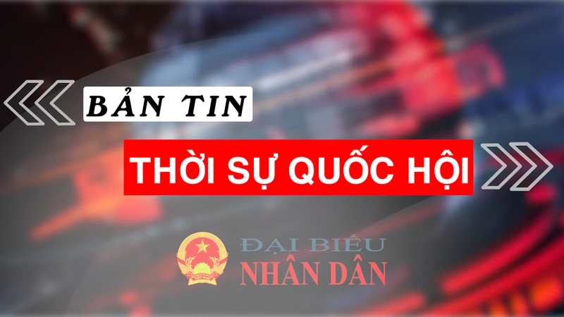 Bản tin Thời sự Quốc hội ngày 25.11.2024