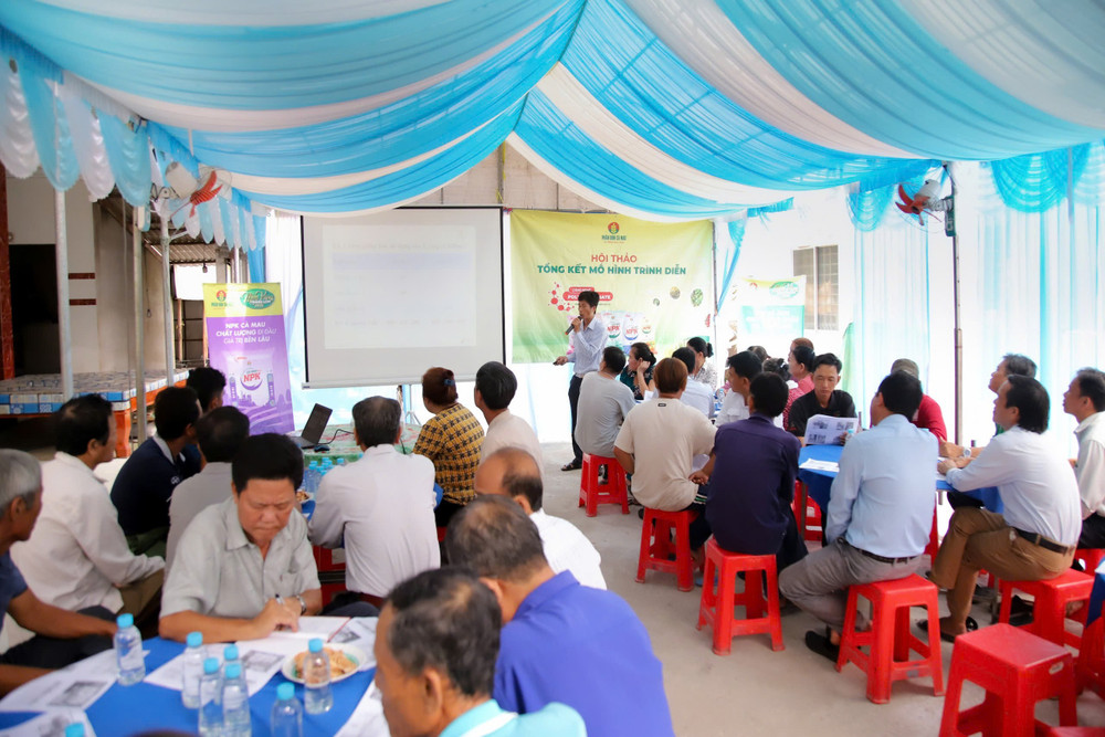 Hội thảo tổng kết mô hình trình diễn thu hút đông đảo nông dân và đại diện ngành nông nghiệp tại Long An. Ảnh: PVCFC h1-hoi-thao-tong-ket-mo-hinh-trinh-dien.jpg