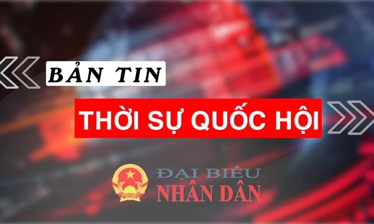 Bản tin Thời sự Quốc hội ngày 23.11.2024