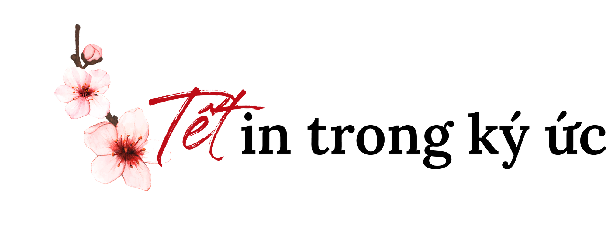 tit-phu-2.png