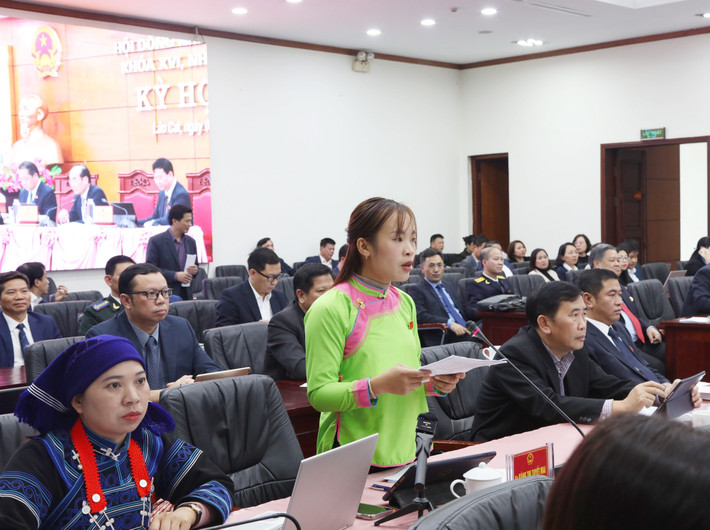 Đại biểu Vàng Thị Tuyết Mai (Tổ đại biểu huyện Bát Xát) chất vấn. Ảnh: An Nhiên 0r2a4371.jpg