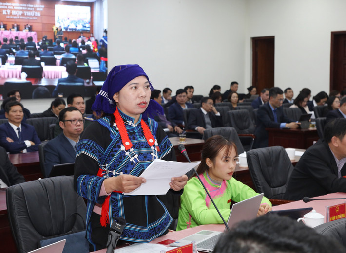 Đại biểu Chu Gì Xú (Tổ đại biểu huyện Bát Xát) chất vấn. Ảnh: An Nhiên 0r2a4431.jpg